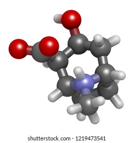 Ecgonine Coca Alkaloid Molecule Metabolite Cocaine Stock Illustration ...