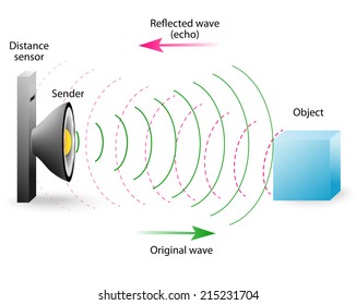 echo is a reflection of sound waves