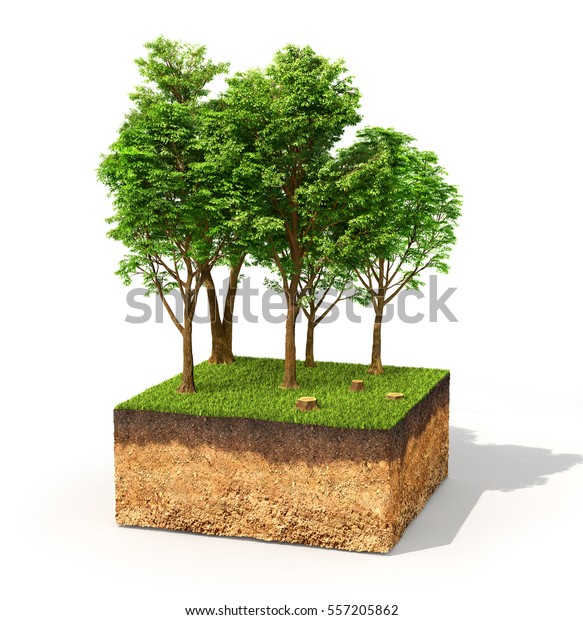 エココンセプト 白い背景に高い木のある地面の断面 3dイラスト の