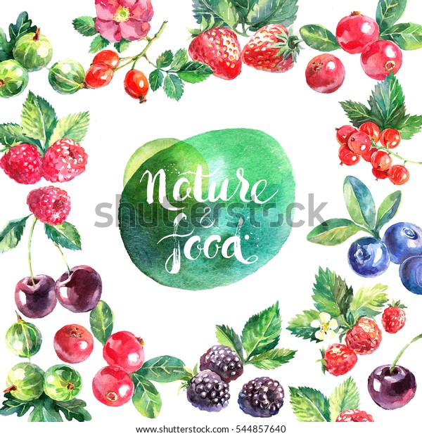 エコフードオーガニックカフェのメニューフレームデザイン 白い背景に水彩の手描きの自然の新鮮な果実とベリー 花柄 のイラスト素材