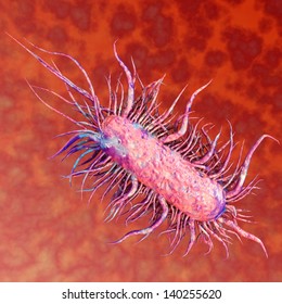 E.Coli Bacteria