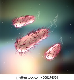 E.coli - Escherichia Coli