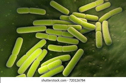 E.coli. Escherichia Coli Bacteria Cells. 3D Illustration