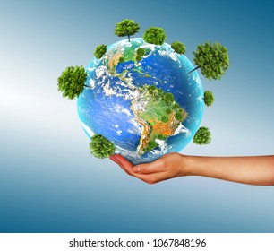 Ecological concept of the environment with the cultivation of trees on the ground in the hands. Planet Earth. Physical globe of the earth. Elements of this image furnished by NASA. 3D illustration - Powered by Shutterstock