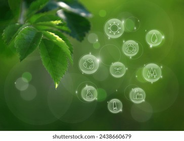 Ecology image: What is necessary for forest conservation: water, sunlight, thinning, environment, circulation, afforestation, biomass power generation, effective use of domestic wood. - Powered by Shutterstock