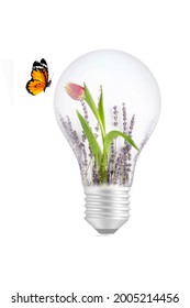 Ecosystem inside the bulb and a butterfly