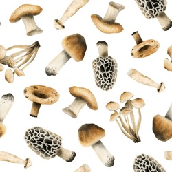 Edible Brown Mushrooms Watercolor Seamless Pattern On White Background. Woodland Forest Plants Illustration Of Organic Cooking Ingredient For Healthy Cookbook Recipes