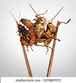 Edible Insects And Eat Bugs Or Eating Insect Snacks As Exotic Cuisine As A Cricket Grasshopper And Larvae With Chopsticks As A Symbol For Entomophagy With 3D Illustration Elements.