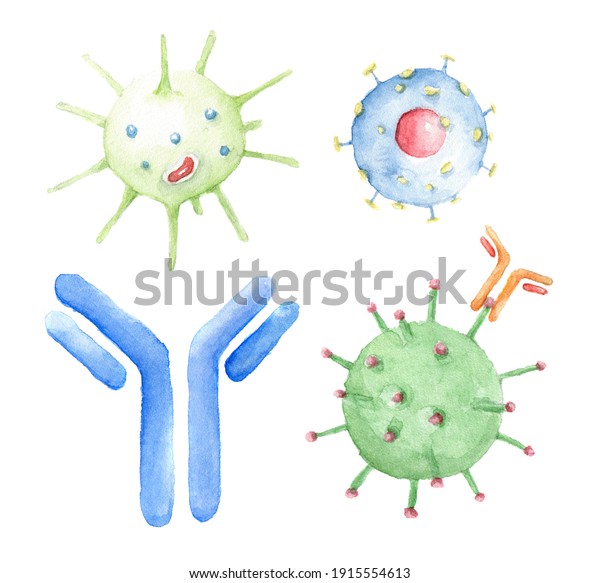 The effect of antibodies on the virus, destroy\
Covid19 virus. Watercolor microbiology multicolored set of viruses\
and antibodies isolated on white background. Microorganism\
illustration for\
design.