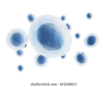 Egg Cells Isolated On White Background. 3d Science And Medical Illustration