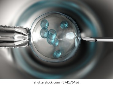 egg is holding by a pipette and a needle