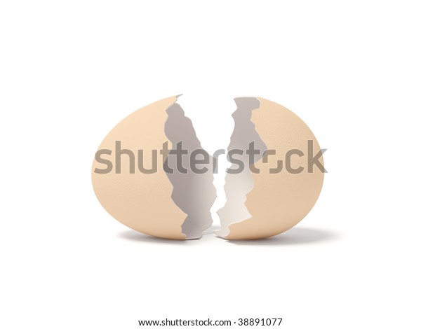 Eggshell On White Background Stock Illustration 38891077