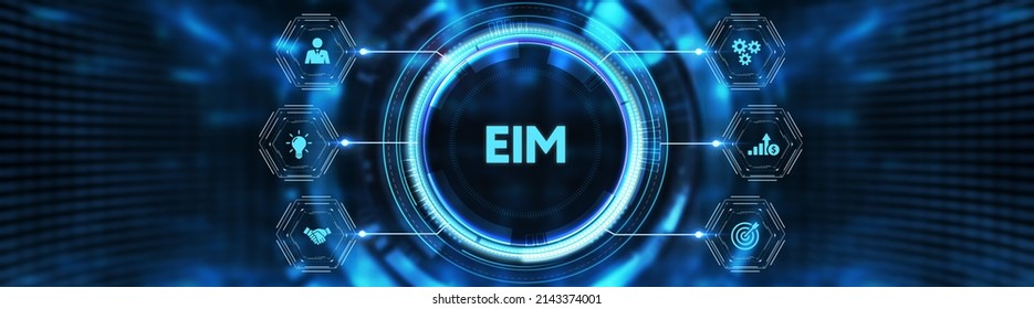 EIM Enterprise Information Management System.3d Illustration