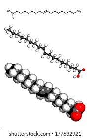 Elaidic Acid Trans Fatty Acid Molecule. Trans Fatty Acids Are Found In Hydrogenated Vegetable Oils, And Used In The Production Of E.g. Margarine. Three Representations.