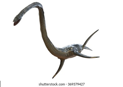 Elasmosaurus