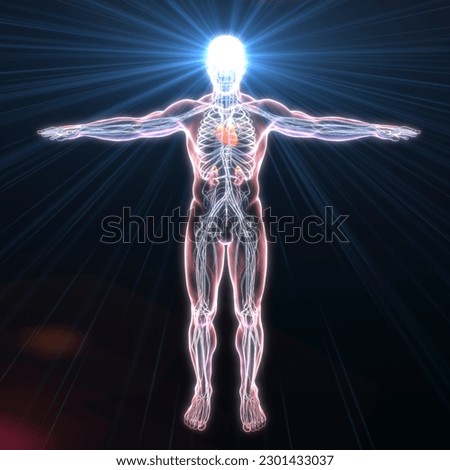 Electrome, the totality of currents that exist within the human body, 3D illustration. Understanding the electrome could lead to groundbreaking treatments for a wide range of medical conditions