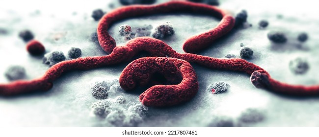 Electron Microscope Concept Of Ebola Virus, Ebola Viral Infection, Ebola Epidemics 3d Rendering