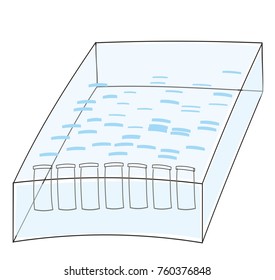 An Electrophoresis Agarose Gel With Samples.