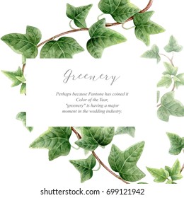 Elegance Rectangular Border With Green Ivy On White Background. Watercolor Botanical Banner.