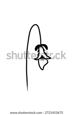 ​The elegance of simplicity in a drooping bloom