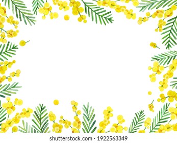 Elegant Frame Of Hand Painted Watercolor Mimosa Blossoms. Watercolor Illustration Of Spring Flowers For Invitations, Cards, Design. Yellow And Green Flowers For Wedding Or Birthday Celebration