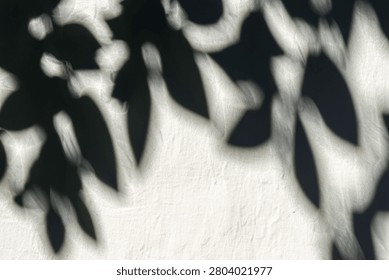 Elegant Leaf Shadow Wall Pattern