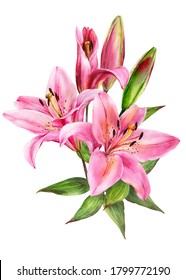 Elegant Lily Bouquet Pink Lilies On Stock Illustration 1799772190 ...