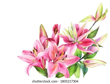 70,302 Pink lillies Images, Stock Photos & Vectors | Shutterstock