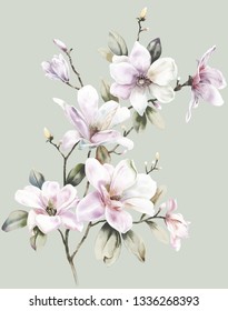 Elegant Watercolor Hand Painted Magnolia