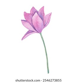 Elegant watercolor illustration of a delicate purple flower with green leaves. Perfect for digital designs, wedding decor, invitations, and nature inspired artwork. A lovely floral accent - Powered by Shutterstock