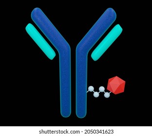 Elements Of An Antibody Drug Conjugated Cytotoxic Payload Isolated 3d Rendering