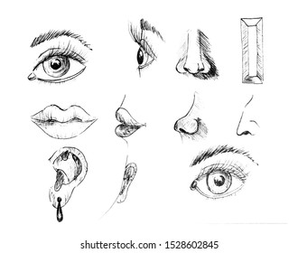 Elements Face Eyes Lips Nose Eyebrows Stock Illustration 1528602845 ...