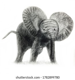 Baby Animals Pencil Drawing Hd Stock Images Shutterstock