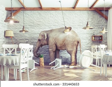 an elephant calm in a restaurant interior. photo combination concept