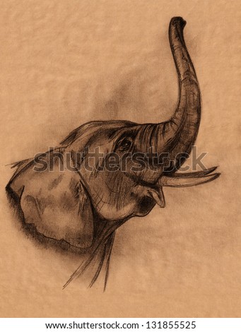 Elephant Head Pencil Drawing Realistic Sketch Stock Illustration