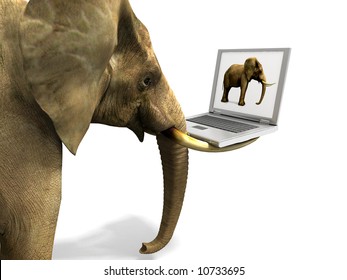Elephant and Laptop