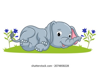 The Elephant Is Laying Down On The Grass Of Illustration