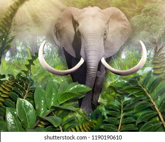 Elephant Out Of The Jungle. Wallpaper For Wall. 3D Illustration.