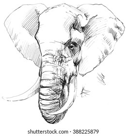 Elephant Sketch Images Stock Photos Vectors Shutterstock