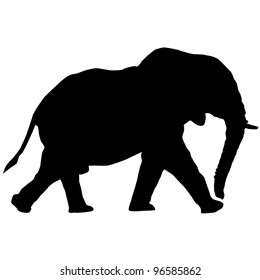 Elephant Silhouette Raster