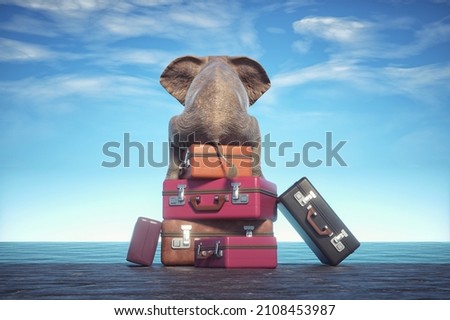Elephant sits on a stack of luggages looking at the ocean. Travel and moving out concept. This is a 3d render illustration