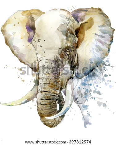 Elephant watercolor illustration with splash textured background.  