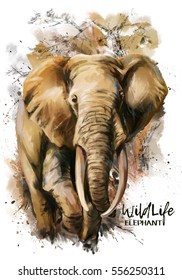 Elephant Watercolor Painting