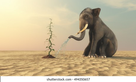 Elephant Watering A Beanstalk With His Trunk On A Dry Field Background. This Is A 3d Render Illustration