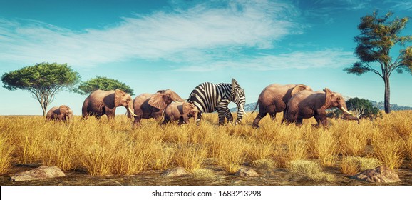 Elephant with a zebra skin into a crowd . Think outside the box concept . This is a 3d render illustration