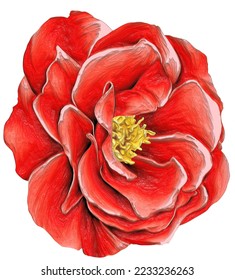 Embossed flower pattern,3d flower painting,Digital painted flower,Oilpainted floral pattern