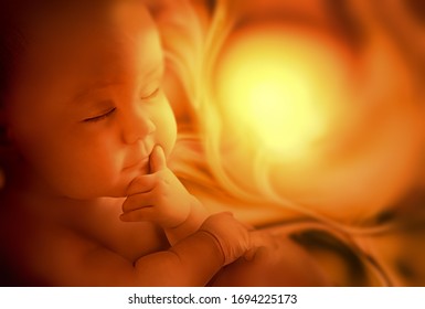 Embryo inside mother, ultrasound image, maternity concept design