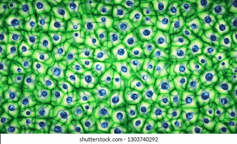 Embryonic Bright Green Stem Cells Colony Under A Microscope. Cellular Therapy And Research Of Regeneration And Disease Treatment In 3D Illustration. Biology And Medicine Of Human Body Concept . 4K