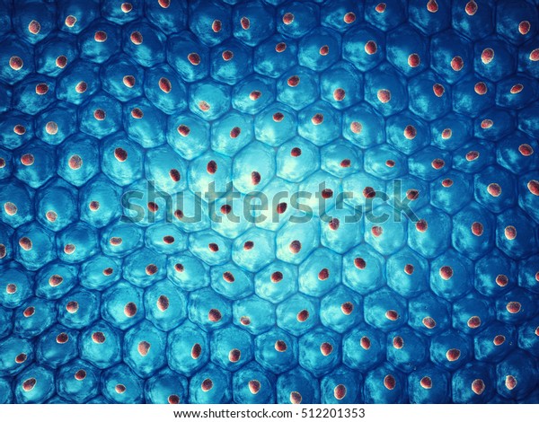 Embryonic stem cell colony ,
Cellular therapy , Regeneration , Disease treatment , 3d
illustration