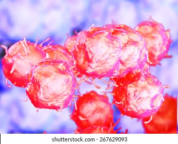 Embryonic Stem Cells